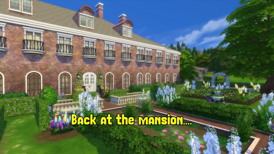 11-18-16_12-49-39 PM (1)